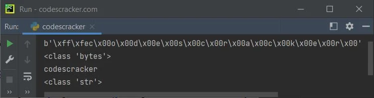 python program bytes to string