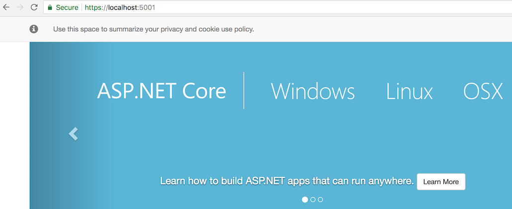 ASP.NET Core 2.1 project open in browser using HTTPS ASP.NET Core 2.1 project open in browser using HTTPS