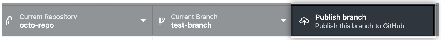 The Publish branch button