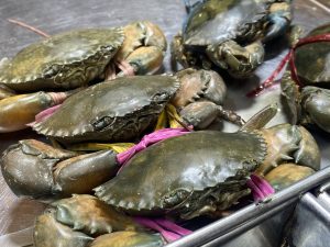 Green crabs on a metal tray with tied pincers, showing a fresh market setting.