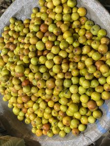 A large pile of small, round, yellow-to-orange fruits, likely jujubes, spread on a textured mat. The fruits appear fresh and ripe, evoking a vibrant, earthy tone.