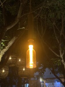 A glowing, vintage-style bulb hanging from a tree illuminates the night. Warm light casts a cozy ambiance with woven lanterns visible in the background.
