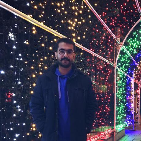 @Hamedhoorijani