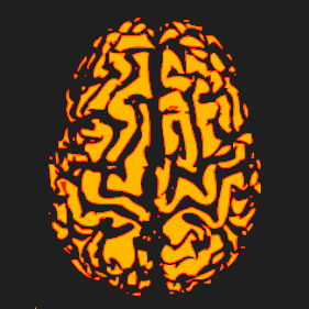 @brainhack-school2022