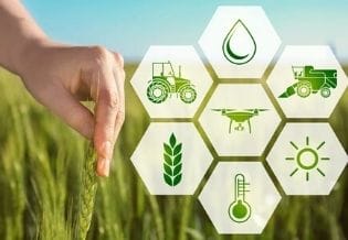 International Journal of Agro Nutrifood Practices